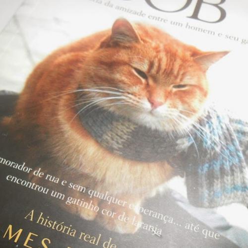 Review: Um gato de rua chamado Bob