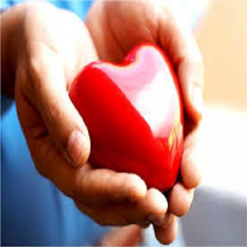 Adote 12 medidas para proteger a saúde do coração