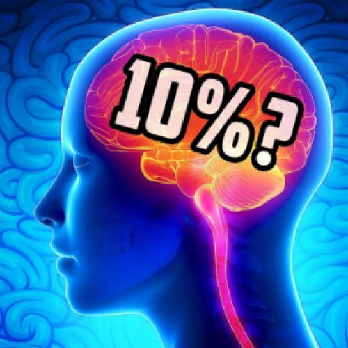 Usamos apenas 10% do nosso cérebro?