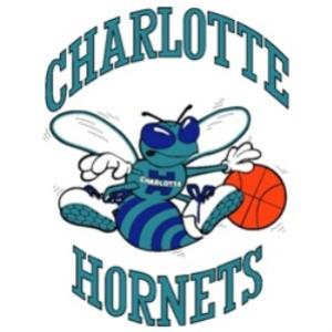 A volta do Charlotte Hornets