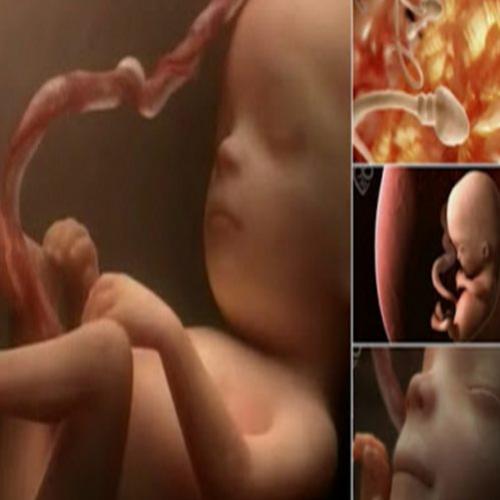 Vídeo mostra em 4 minutos como são os primeiros 9 meses do bebê