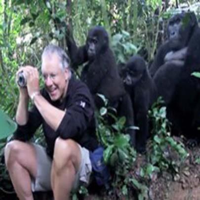 Fotógrafo são surpreendidos por família de gorilas no Uganda