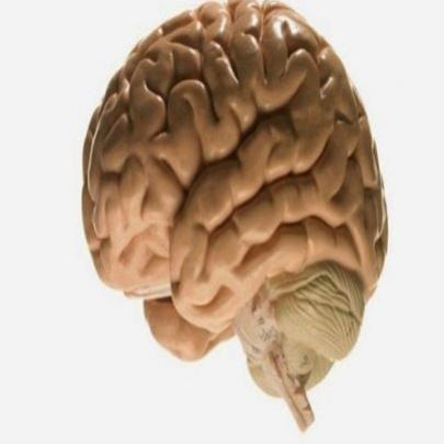 5 Curiosidades sobre o cérebro