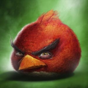 Angry Birds Realista!