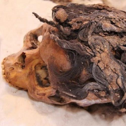 Descoberta mulher do antigo Egito com 70 extensões de cabelo