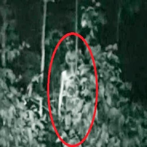 Vídeo com imagens de possível extraterrestre vaza na internet