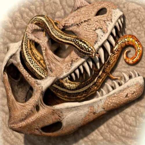 As serpentes mais antigas do mundo