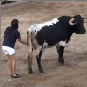 Garota enfrenta touro bravo e faz um carinho diferente