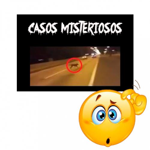 Top 5 casos misteriosos