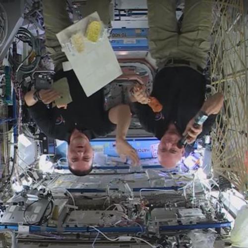 Como os astronautas comem no espaço?