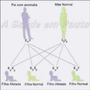 Daltonismo: entenda como funciona a genética hereditária dessa anomali