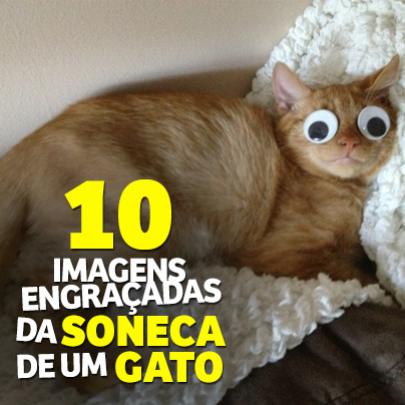 10 imagens engraçadas da soneca de um gato