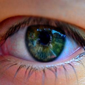 Olho de usuário poderá substituir senhas no Futuro