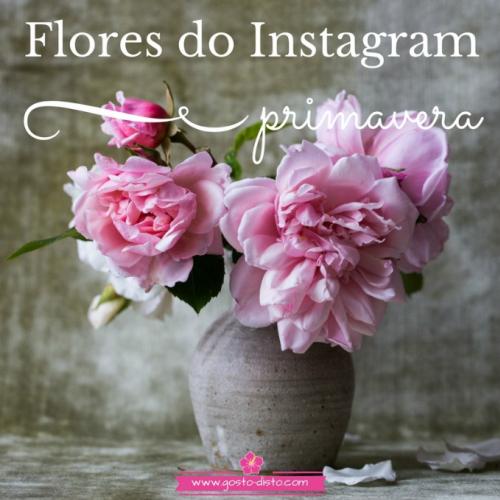 Flores do instagram para viver a primavera on line