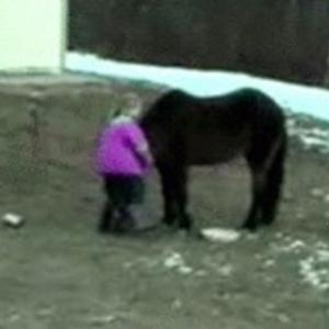 Cavalo esperto e menina não