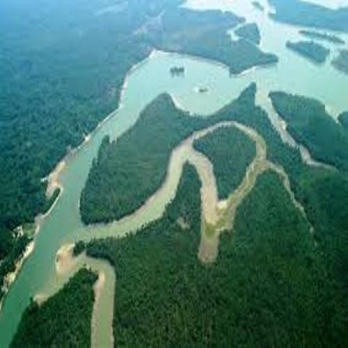 Biomas e hidrografia brasileira