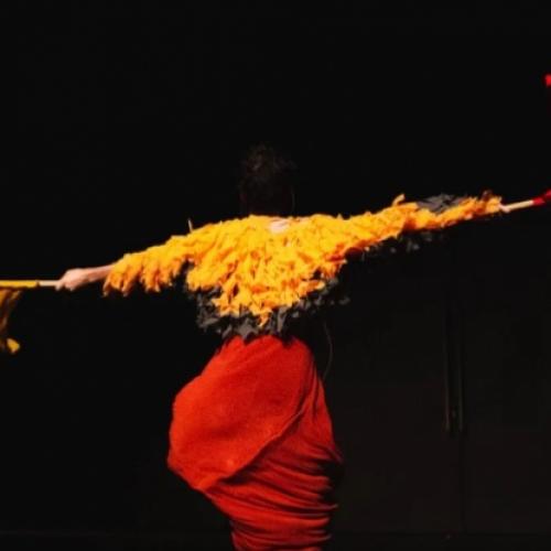 Espetáculo “Ave” explora as linguagens da dança e do teatro.