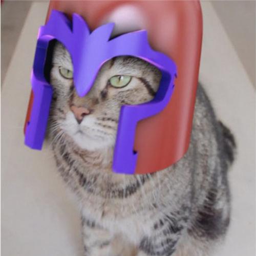 Gato magneto, o gato super-vilão!