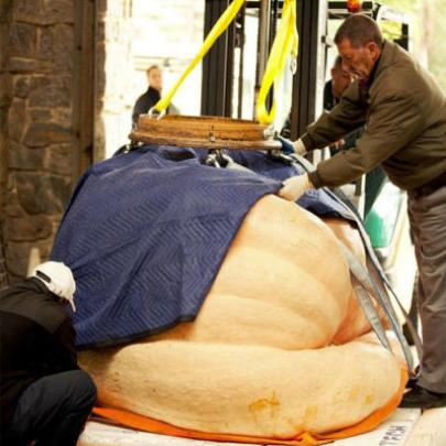 Abóbora de 921 kg é declarada novo record mundial