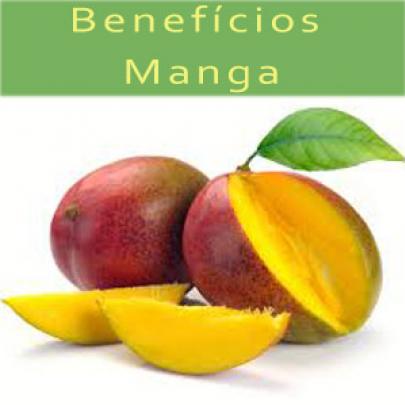 Manga - Confira os benefícios da fruta para sua saúde