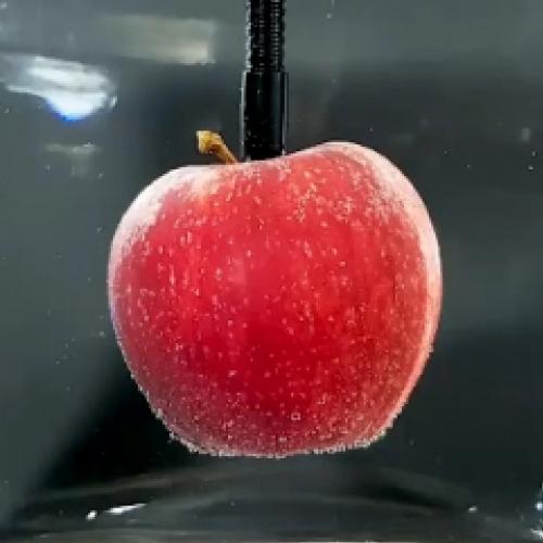 O que acontece se uma maçã ficar na água por 1 ano
