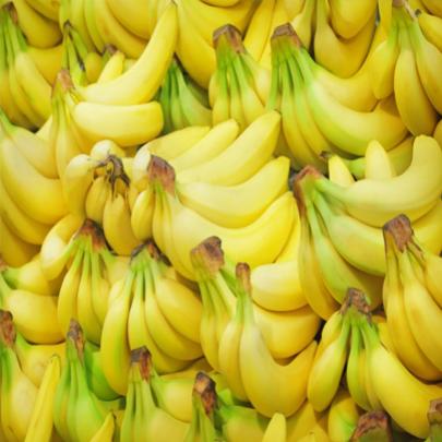 Conheça as bananas geneticamente modificadas