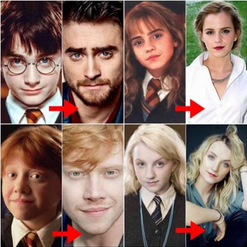 Como está o elenco de Harry Potter hoje