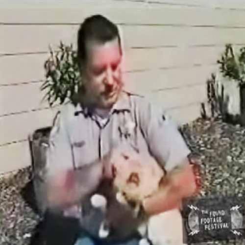 Gato ataca policial em reportagem ao vivo para a televisão