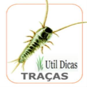 Dicas para afugentar traças