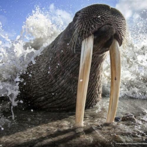 As mais incríveis imagens da Natureza