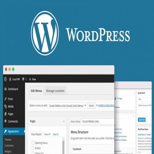 Aprenda a criar um site profissional Wordpress passo a passo