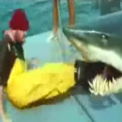Tubarão engole Pescador em alto mar, vídeo