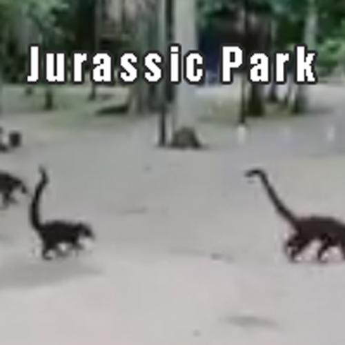 Jurassic Park na vida real