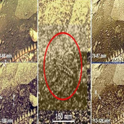 Revelam estranhas imagens secretas de Vênus feitas há 30 anos