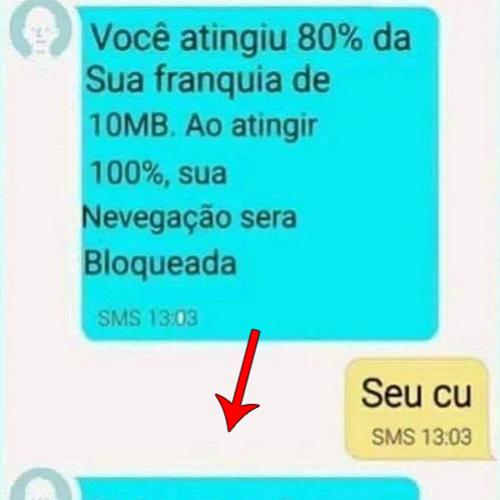 Xingou a operadora e ela respondeu no ato.