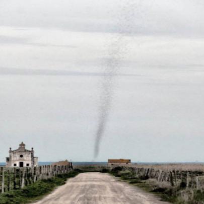 Fotógrafa registra 'tornado de mosquitos' no céu de Portugal