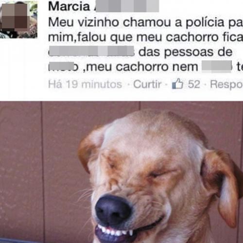 Cachorro motoqueiro zoeiro