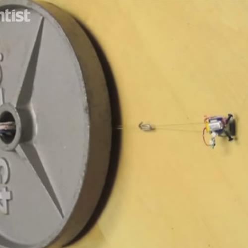 Estes pequenos robôs arrastam objetos 2 mil vezes mais pesados do que 