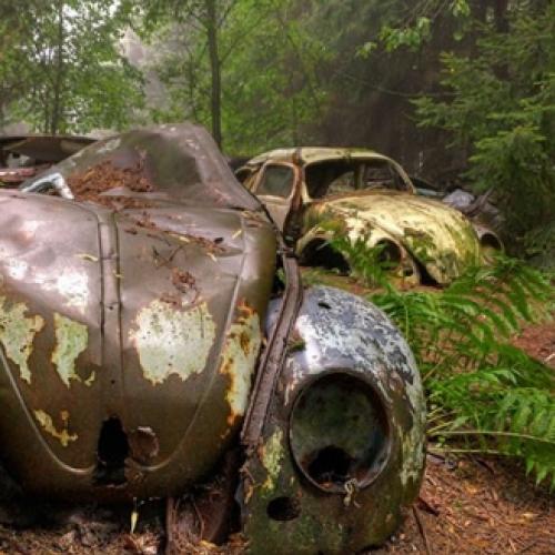 Uma galeria incrível de fotos de carros abandonados na floresta por 70