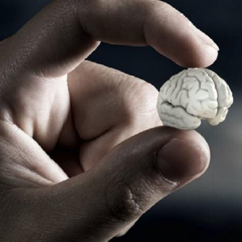 Mini cérebro artificial já existe e é poderoso