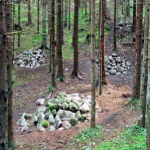 Pokaini: A floresta mística da Letônia