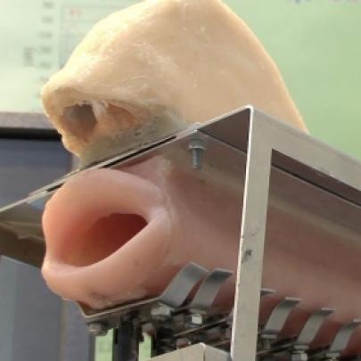Engenheiros japoneses criam simulador da corda vocal humana