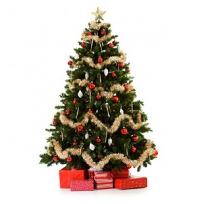 O que significa a árvore de natal?