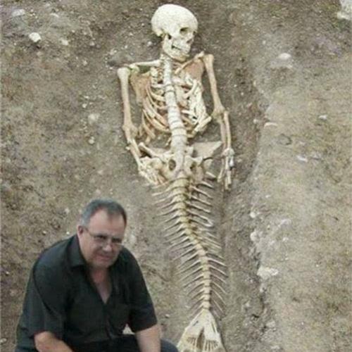 Homem afirma ter encontrado esqueleto de sereia