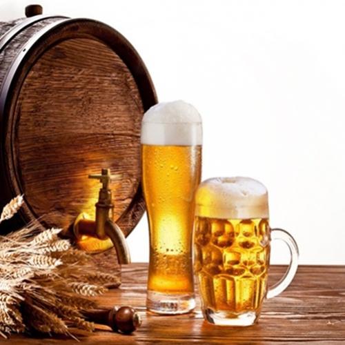 10 curiosidades e mitos sobre cervejas