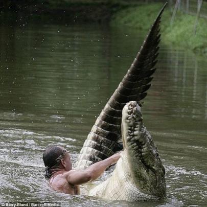 Uma amizade incrível entre homem e crocodilo