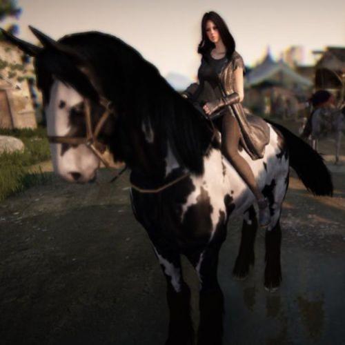 Aprenda capturar cavalos em Black Desert Online