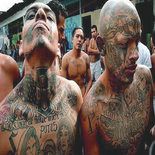Conheça as 10 gangs mais cruéis e perigosas do mundo! 