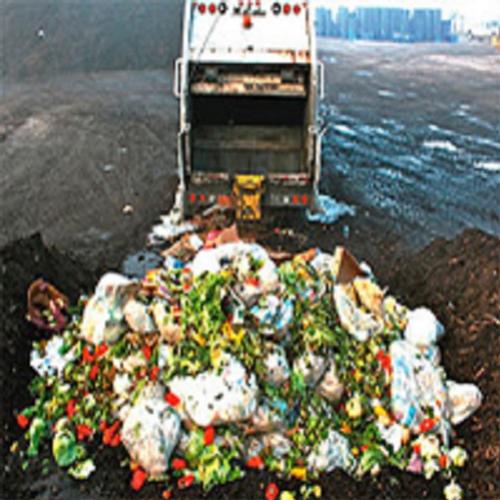 Desperdícios de alimentos - Como evitar? 