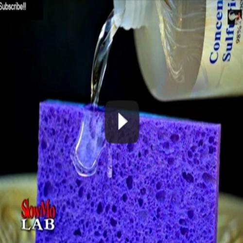 Veja o que o Ácido Sulfúrico é capaz de fazer a uma esponja em câmera 